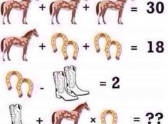 Волгоградцы гадают в соцсетях над детской задачкой про жеребцов