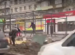 Волгоградцы возмущены сносом деревьев ради новых киосков