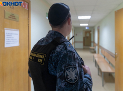 Хозяйка лайки, разорвавшей лицо 9-летнему, завралась на суде под Волгоградом 
