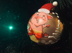 Что ждет волгоградцев в 2019: гороскоп на год Свиньи по знакам зодиака