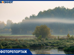 Красоту октябрьского утра в 11 кадрах показал волгоградский фотограф