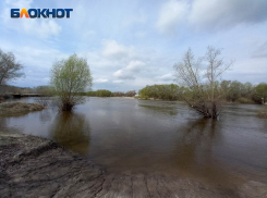 Незаконная рыбалка довела волгоградца до потери автомобиля