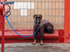 Перед этим знаком откроются новые возможности: прогноз от астролога 