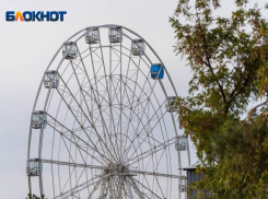 До +26 градусов тепла в Волгоградской области в понедельник: ЦГМС