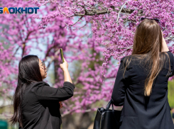 К концу недели в Волгоград ворвется майская жара +32 градуса