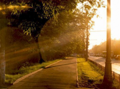 Солнечное утром сменится дождем в Волгограде