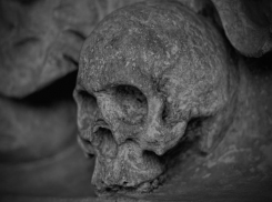  Обглоданные части трупа в Краснооктябрьском районе Волгограда могут принадлежать без вести пропавшей 