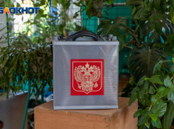 Выборы никому не нужны? Смотрим интерес волгоградцев к кандидатам в Госдуму РФ