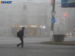 Срочное предупреждение из-за штормового ветра выдали волгоградцам 