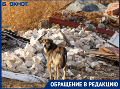 Вблизи полигона «алюминьки» под Волгоградом открывают завод: жители собирают подписи против