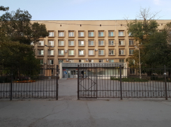 «Бесконечные очереди и нехватка талонов»: активист из Волжского требует строительства новых поликлиник