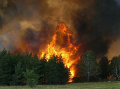 Крупный пожар в Серафимовичском районе тушит вертолет МИ-26