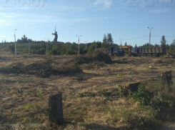 Волгоградские чиновники пытаются оправдать уничтожение парка у Мамаева кургана