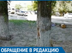 Рухнувший на балкон многоэтажки тополь едва не убил мужчину на юге Волгограда