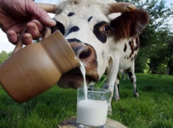 Волгоградское молоко оказалось одним из самых дорогих по России