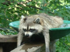 Смертельно опасные грозы не покидают Волгоградскую область