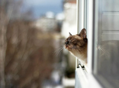 В Волгоградской области малооблачно и без осадков