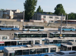 Волгоградцы решат, нужно ли оставить городу электротранспорт