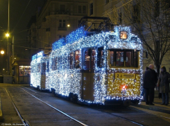 Трамваи и троллейбусы Волгограда к Новому году украсят гирляндами 