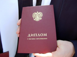 В мэрии Волгограда говорят о фальшивом дипломе главы района