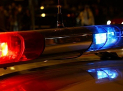 «Девятка» насмерть переехала 40-летнего мужчину под Волгоградом