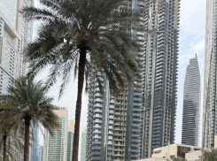 «Они явно что-то знали»: о странностях перед атакой Дубая рассказал волгоградский турист