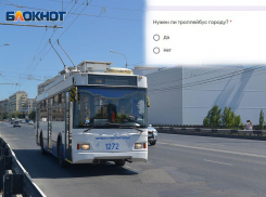 Волгоградец высказался о возможном крахе троллейбусной сети в городе