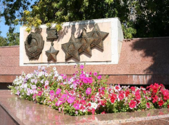 В Волгограде высадят 200 тысяч цветов