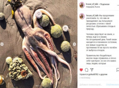 «Кто будет отвечать за это?»: жуткой катастрофой на Камчатке шокирована волгоградский волонтер