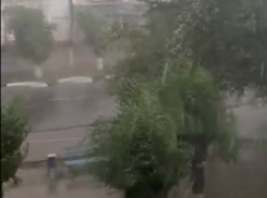 Штормовой ливень с градом и грозой надвигается на Волгоград: видео