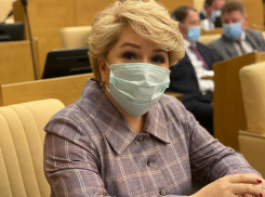 Депутат Госдумы Ирина Гусева ответила на важные для Волгоградской области вопросы