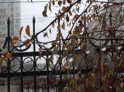 Ветер сносит все на своем пути в Волгоградской области