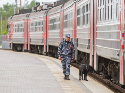 Волгоградцу грозит 10 лет колонии за прополку станции поезда от конопли
