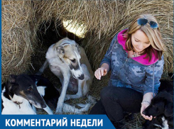 Собаки в стаях опасны, а отстрел в Волгограде не дает результата, - Анжела Макарова