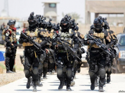 В Волгограде на «Химпроме» спецназовцы провели следственные действия 