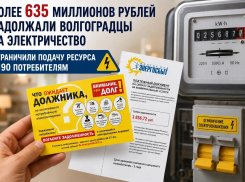 Более 635 миллионов рублей задолжали волгоградцы за электричество