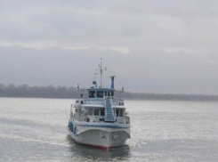 Перевозки на остров Сарпинский в Волгограде отдадут «Метроэлектротрансу»