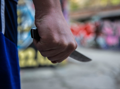 В Камышине мужчина убил 17 ударами ножа друга, испортившего диван