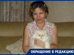 «Вы засланный агент?»: ГБР вызвали на инвалида в поликлинику в Волгограде