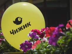 В Волгограде заработала новая сеть дискаунтеров «Чижик»