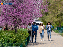 В Волгограде потеплеет до плюс 20 градусов