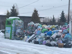Везем все свой мусор в Латошинку, оттуда точно вывезут, - волгоградский общественник