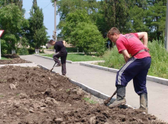 Мэрия Волгограда помогает подросткам найти работу на лето