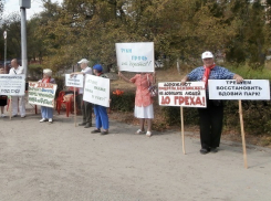 Волна митингов против уничтожения парка на Мамаевом кургане прошла по Волгограду