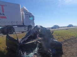 Водитель Ford разбился в ДТП с фурой в Волгоградской области