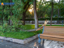 На набережной в центре Волгограда ураганом снесло дерево