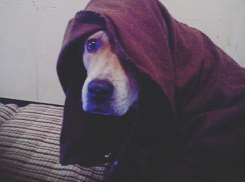 Ночной мороз вернулся в Волгоградскую область