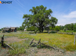 Жена участника СВО с 8 детьми готовится к зимовке на даче под Волгоградом 