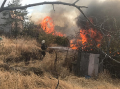 Массовые пожары бушуют в Волгоградской области: есть угроза СНТ