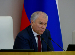 Новую подлость в адрес Володина рассмотрел в Госдуме известный политолог